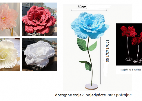 Kwiaty - gigant pojedyncze lub potrójne